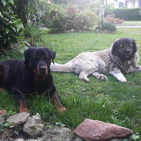 Invilla B&B Varese Kültér fotó