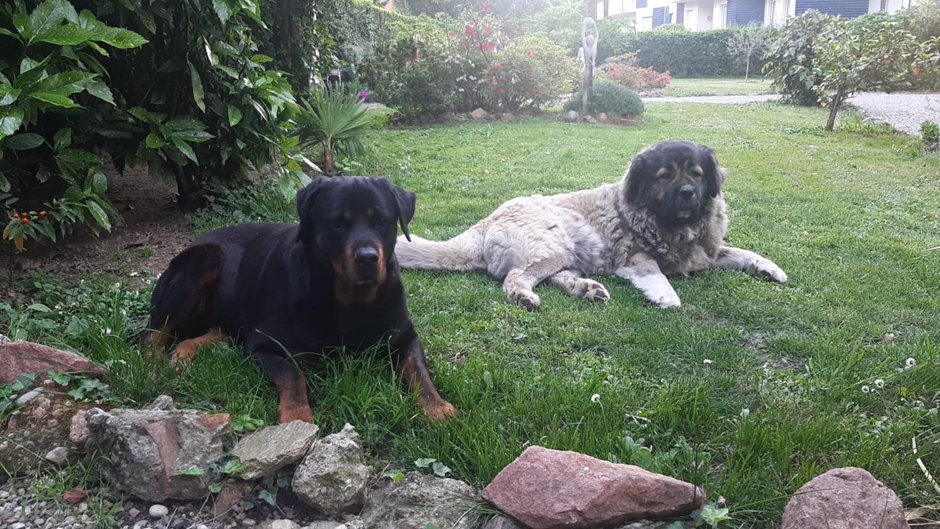 Invilla B&B Varese Kültér fotó